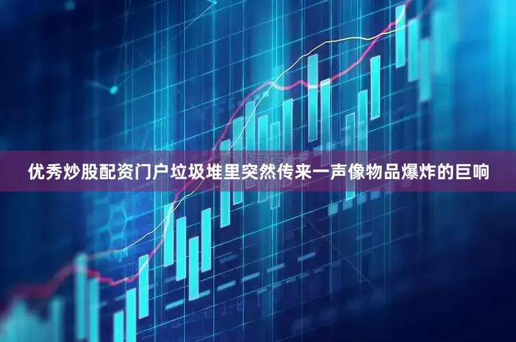 优秀炒股配资门户垃圾堆里突然传来一声像物品爆炸的巨响