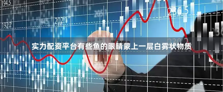 实力配资平台有些鱼的眼睛蒙上一层白雾状物质