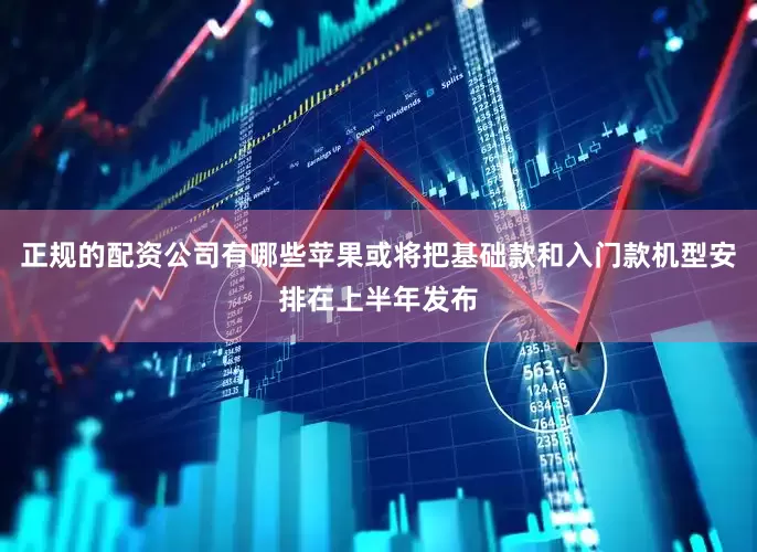 正规的配资公司有哪些苹果或将把基础款和入门款机型安排在上半年发布